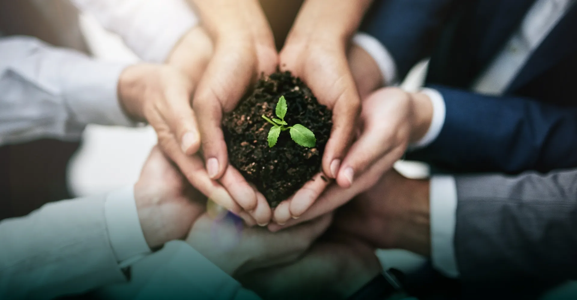 CSR ｜ 社会と共に歩む、持続可能な未来へ